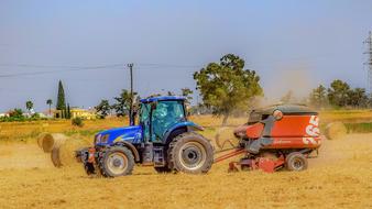 Blue tractor, on the beautiful, yellow field, among the green trees