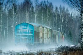 Train Winter forest