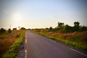 Road Nature Grass green