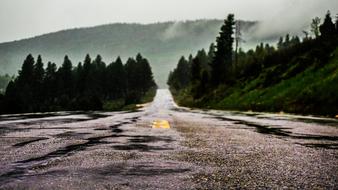 Mountain Perspective road
