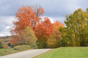 Beautiful landscape of the back road, among the colorful and beautiful plants, in the autumn