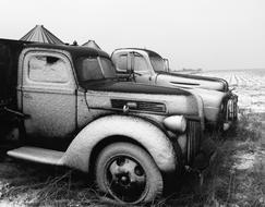 Black and white drawing of the beautiful vintage cars on the field