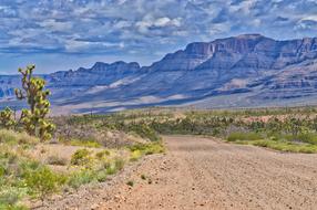 dirt road in the arizona mountains