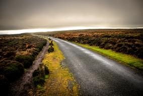 road near fields with green grass