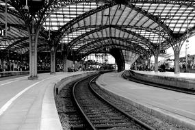 Cologne Main Station Train black and white