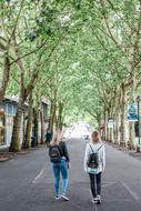 girls walking along the road in the park