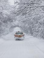 car in the snow on a snowy winter road