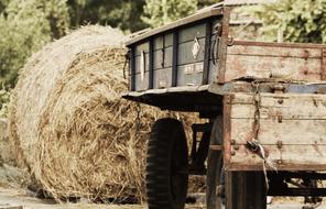 Agriculture Trailers dry grass