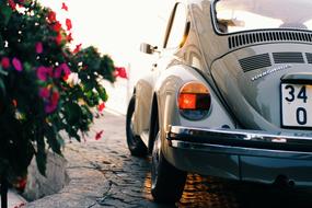 Beetle car classic flowers