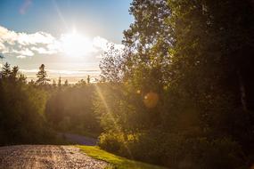 Beautiful landscape of the road among the green grass and trees in sunlight