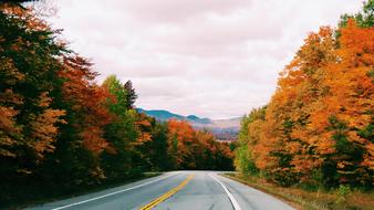 paved highway along the autumn landscape