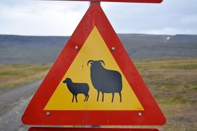 road sign warning about the appearance of sheep with lambs