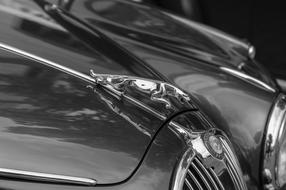 Black and white photo of the beautiful and shiny front of the Jaguar car