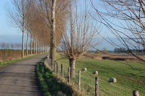 road and fence along the pasture