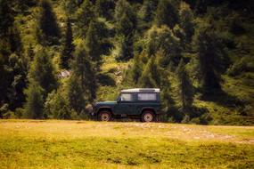 forest Landscape Jeep