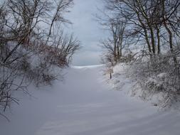 Landscape Winter Snow road