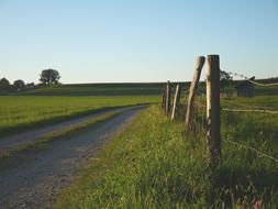 Beautiful and colorful landscape of the path, among the fields with the trees and fence, in Bavaria, Germany