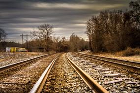 Rails Trains forest