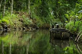 Old Boat Water Green forest