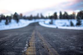 Beautiful and colorful landscape with the asphalt road with the cracked asphalt road, among the trees, in the snow, in the winter