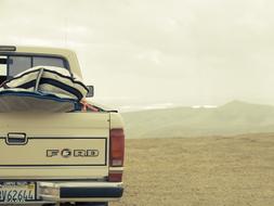 Ford Truck Surf white