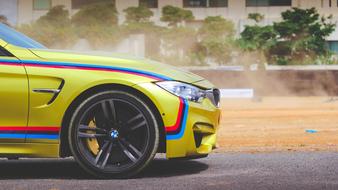 Side view of the colorful and beautiful, shiny "BMW M4" car, near the plants