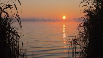 Orange Sky at Dawn Fog