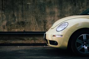 Asphalt Beetle white