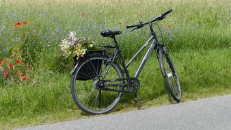 Bike with the beautiful, colorful flowers, near the green grass and colorful flowers on the meadow