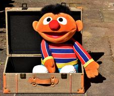 soft fun toy in a small suitcase