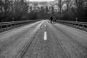 Black and white photo of the beautiful landscape with the people, walking with the dog on the road