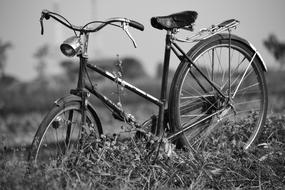 monochrome photo of Wheel Bike