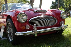 closeup view of Vintage red Car