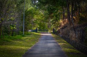 Beautiful landscape of the private road, among the colorful plants, in the village