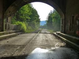 Beautiful, wet road in the tunnel, among the green trees in Pennsylvania, USA