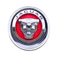 Beautiful, shiny, red and grey emblem of Jaguar at white background