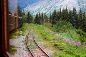 railway through the forest in the mountains