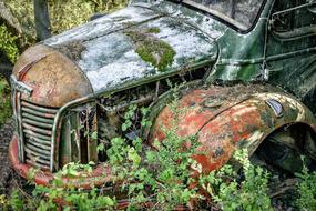 Truck Abandoned Car green grass