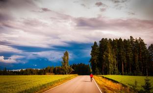 a cyclist rides on a road near a coniferous forest in romania