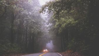 Beautiful landscape with the car, on the foggy road, among the green trees