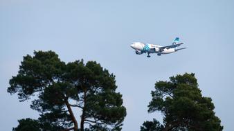 Aircraft Landing sky trees