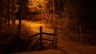 Beautiful landscape with the bridge, among the plants, on the night scene