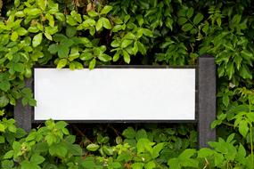 Street Sign Blank white