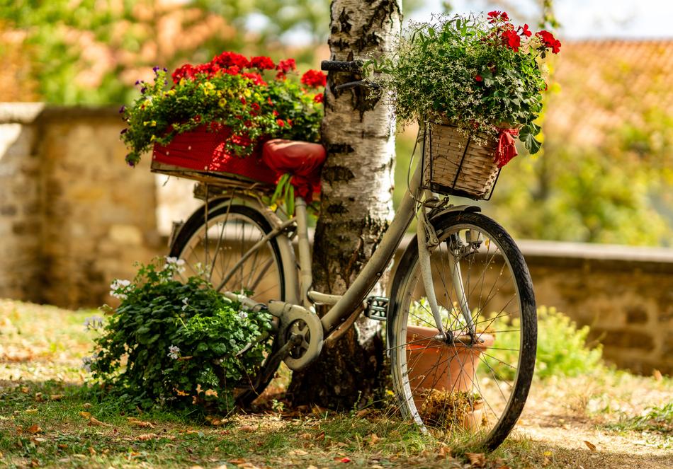 Bike with flower decoration