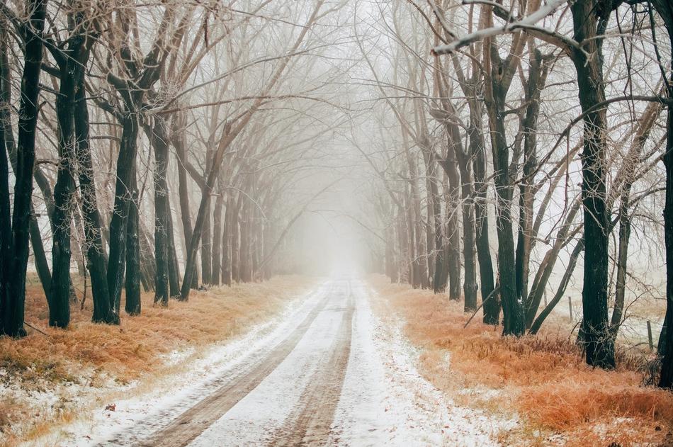 the road in the snow among the trees
