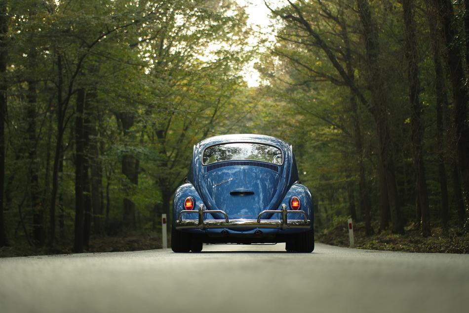 blue Volkswagen beetle on the highway in the woods