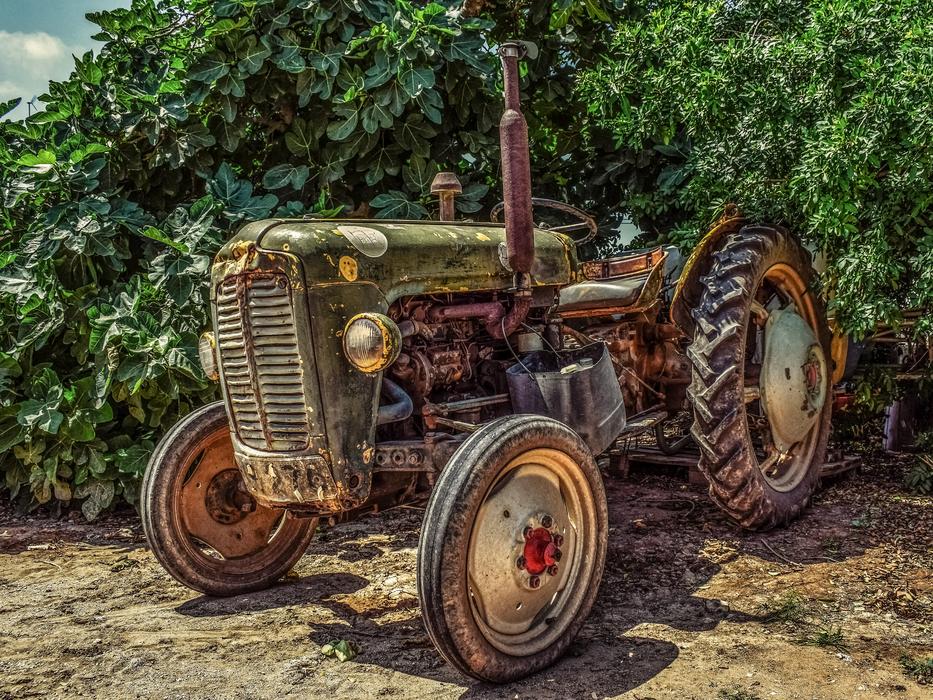 old rusty tractor on a background of green bushes