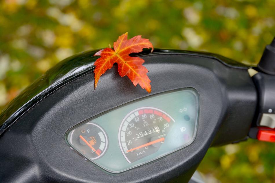 maple leaf on the motor scooter