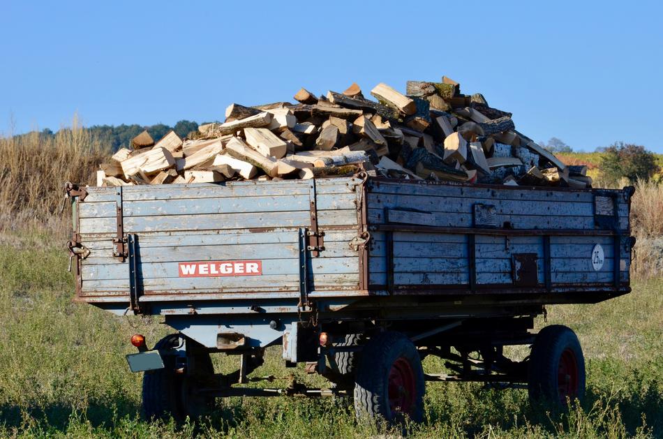 Trailer with wood, among the green field, at blue sky on background