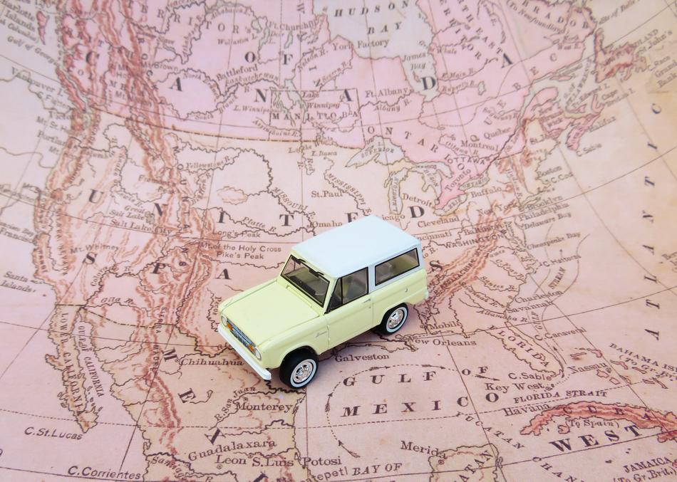 toy car on the maple